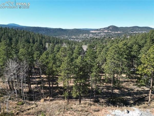 1410 Red Haven Place, Woodland Park, CO 80863