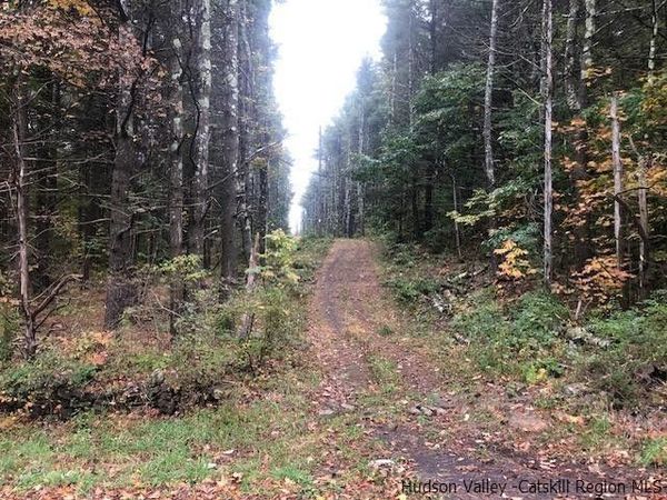 673 Alcove Road, New Baltimore, NY 12124