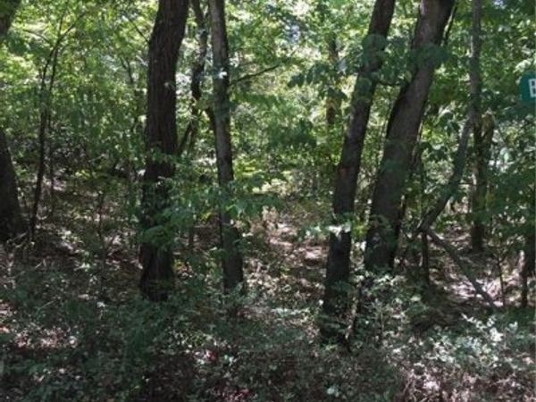 98 Locust Drive, Mound City, KS 66056