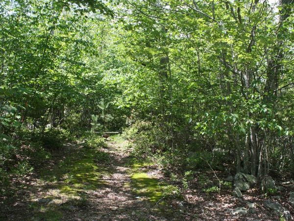 TBD SUMMIT DR, Unit 88, MONTEREY, VA 24465