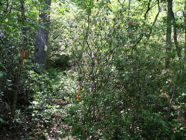 TBD SUMMIT DR, Unit 89, MONTEREY, VA 24465