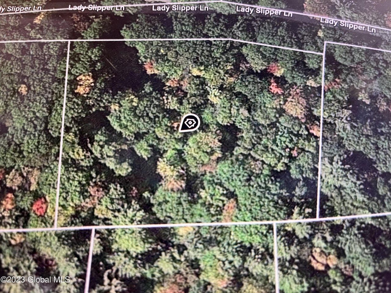 24 Lady Slipper Lane, Porter Corners, NY 12859 Main Photo