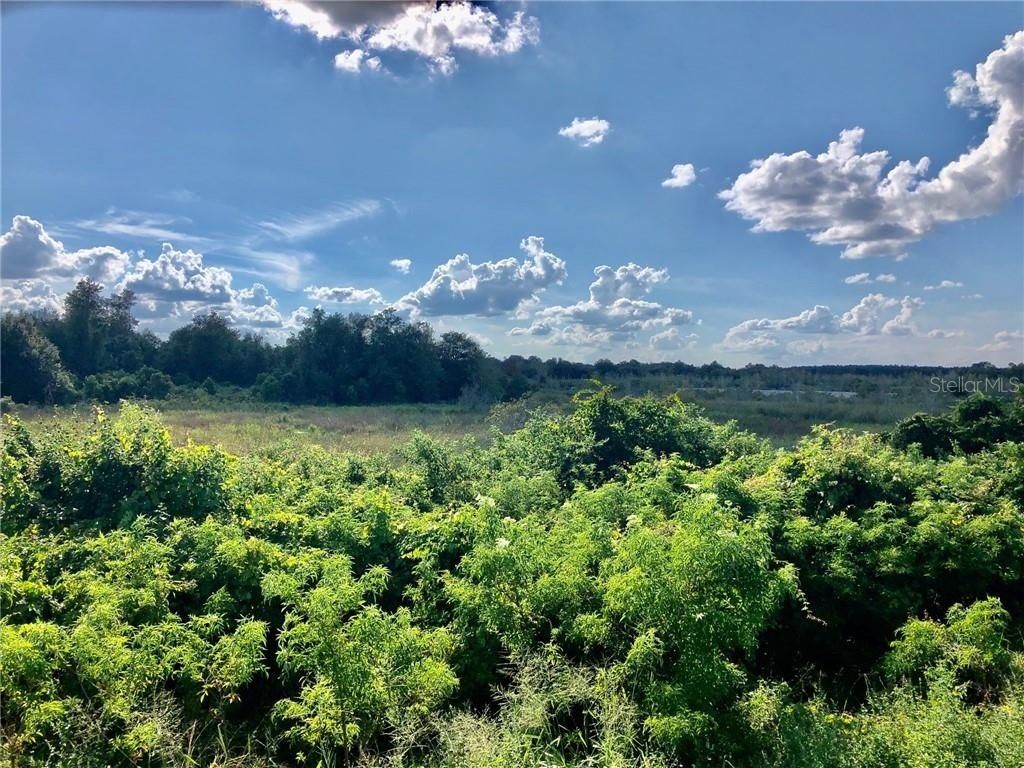 W Lake Yale Road, Umatilla, FL 32784 Photo