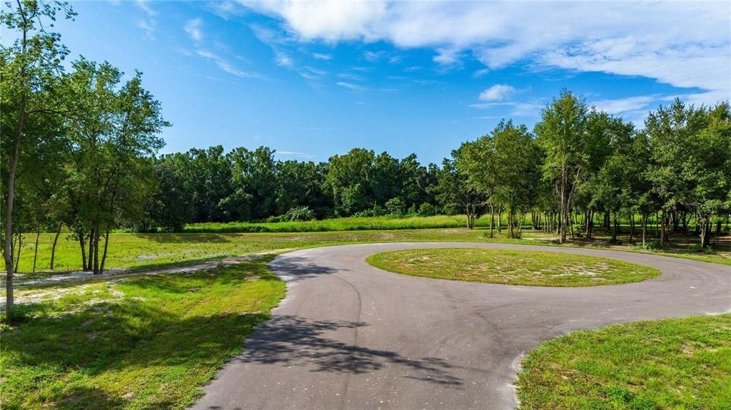 14770 Crimson Oaks Trail, Dade City, FL 33525 Main Photo