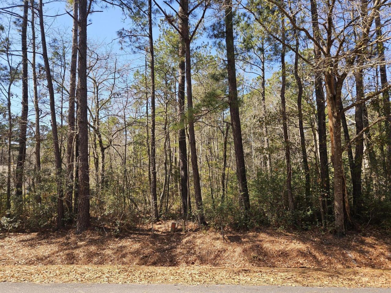 0 Brock Street Photo 1