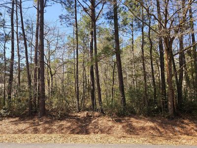 0 Brock Street, Georgetown, SC 29440