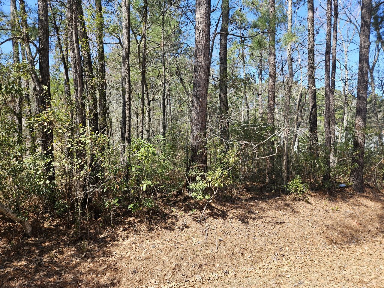 0 Brock Street Photo 4