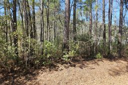 0 Brock Street photo 4