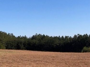 5734 Us-127, Signal Mountain, TN 37377