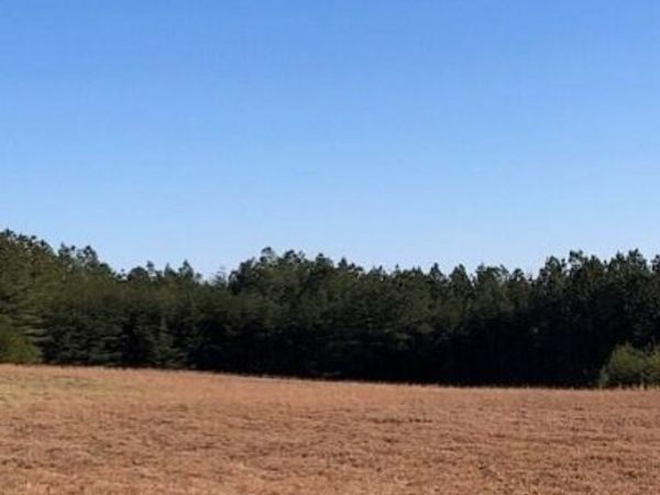 5734 Us-127, Signal Mountain, TN 37377