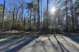 Tbd Long Branch Swamp Rd. photo 4