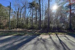 Tbd Long Branch Swamp Rd. photo 4