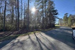 Tbd Long Branch Swamp Rd. photo 4