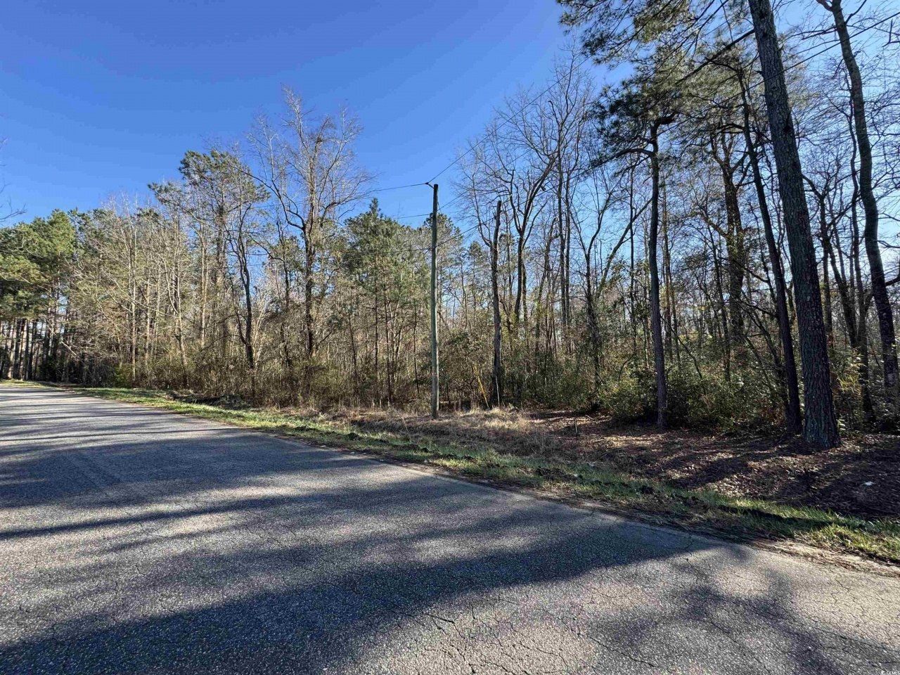 Tbd Long Branch Swamp Rd. Photo 5