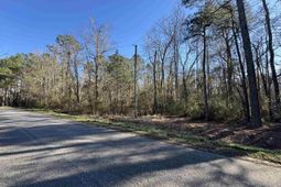 Tbd Long Branch Swamp Rd. photo 4