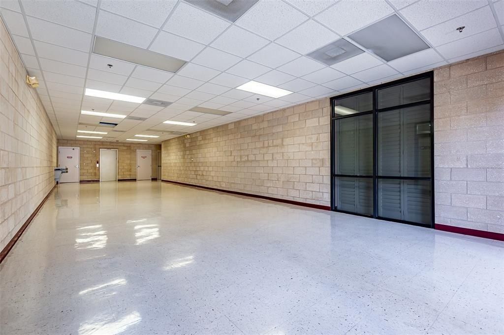 13250 N 56th Street, Unit 203, Temple Terrace, FL 33617 Photo