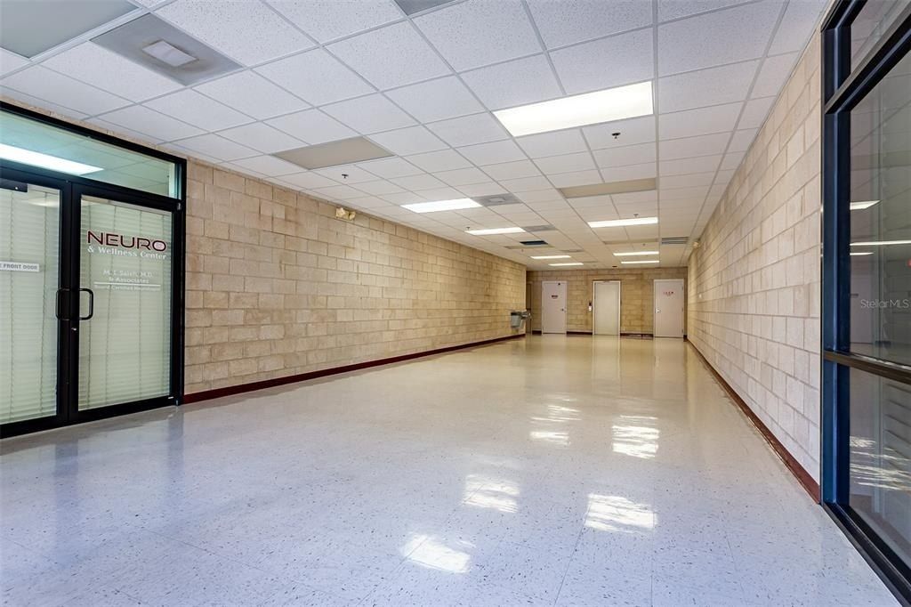 13250 N 56th Street, Unit 203, Temple Terrace, FL 33617 Photo