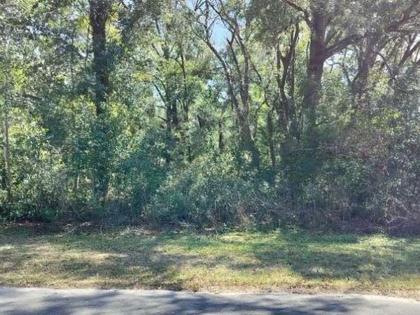 517 S SAVARY AVENUE, INVERNESS, FL 34453