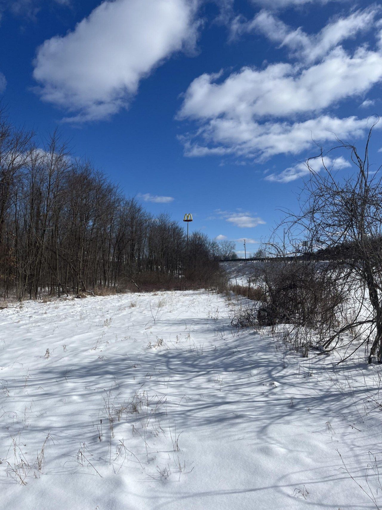 10100 Miller Drive, Galesburg, MI 49053 Main Photo