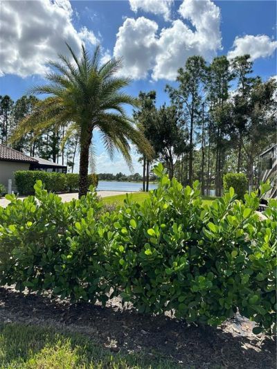 13881 Golden Palms Cir, Fort Myers, FL 33913 Photo