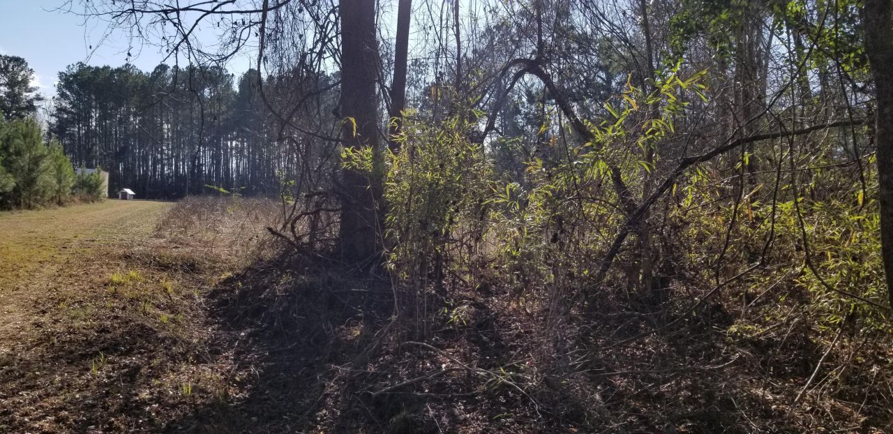 0 Wesley Grove Road Photo 11