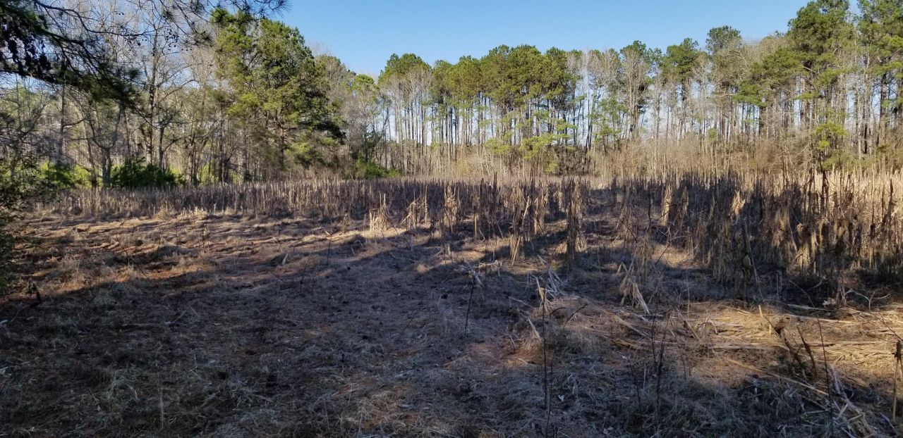 0 Wesley Grove Road Photo 12