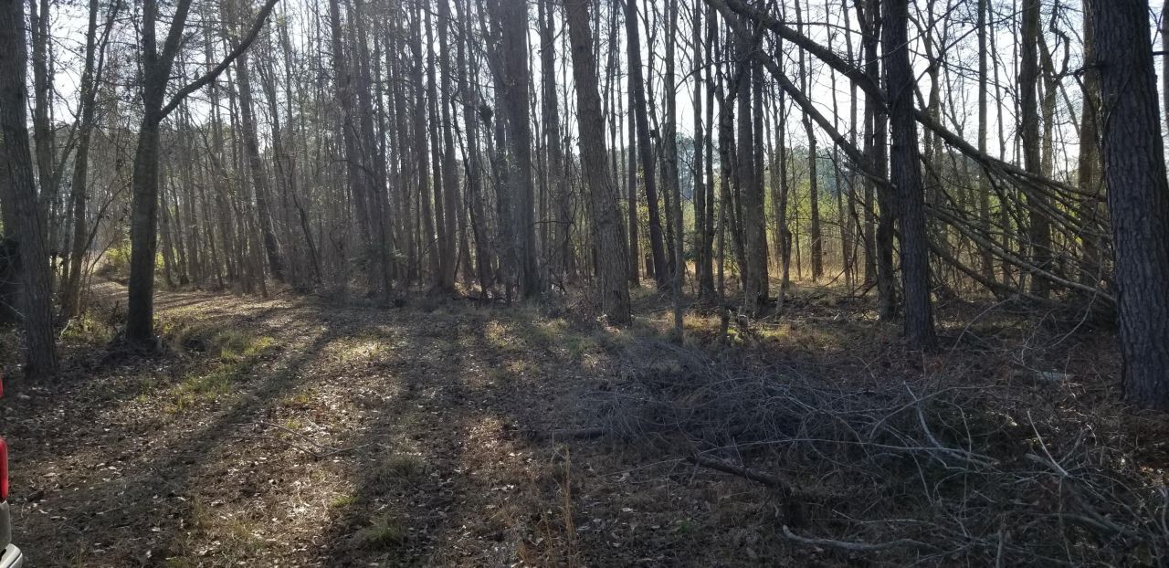 0 Wesley Grove Road Photo 13