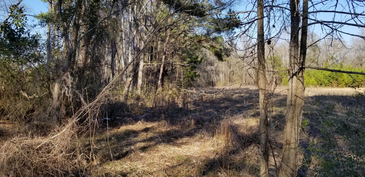 0 Wesley Grove Road Photo 2