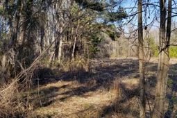 0 Wesley Grove Road photo 4