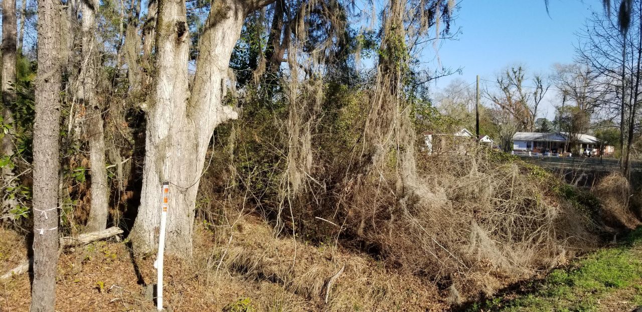 0 Wesley Grove Road Photo 3