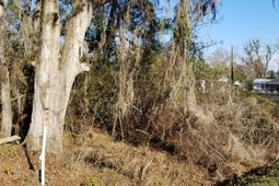 0 Wesley Grove Road photo 4