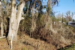 0 Wesley Grove Road photo 4