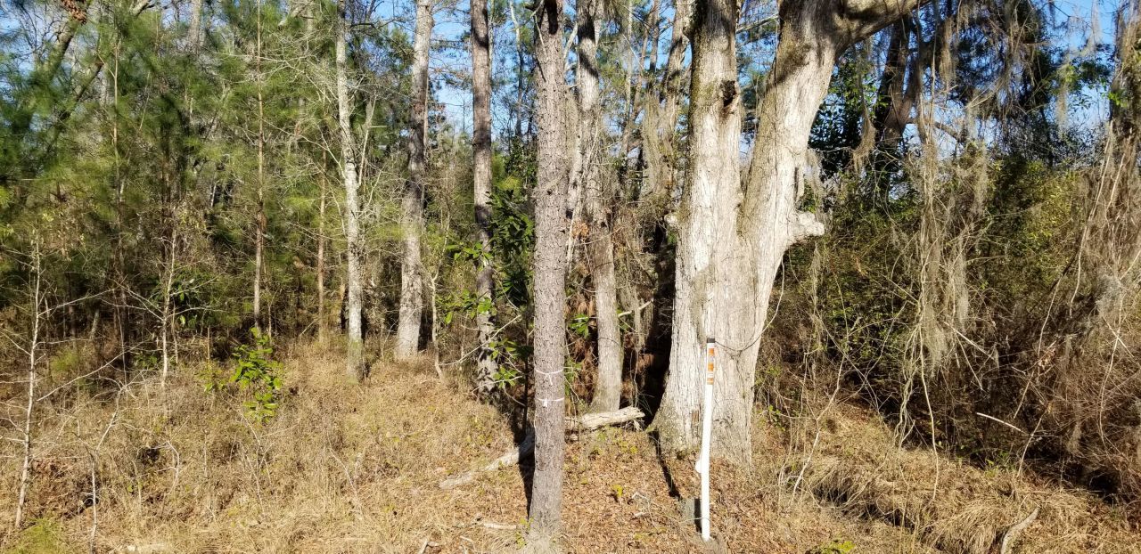 0 Wesley Grove Road Photo 5