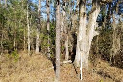 0 Wesley Grove Road photo 4