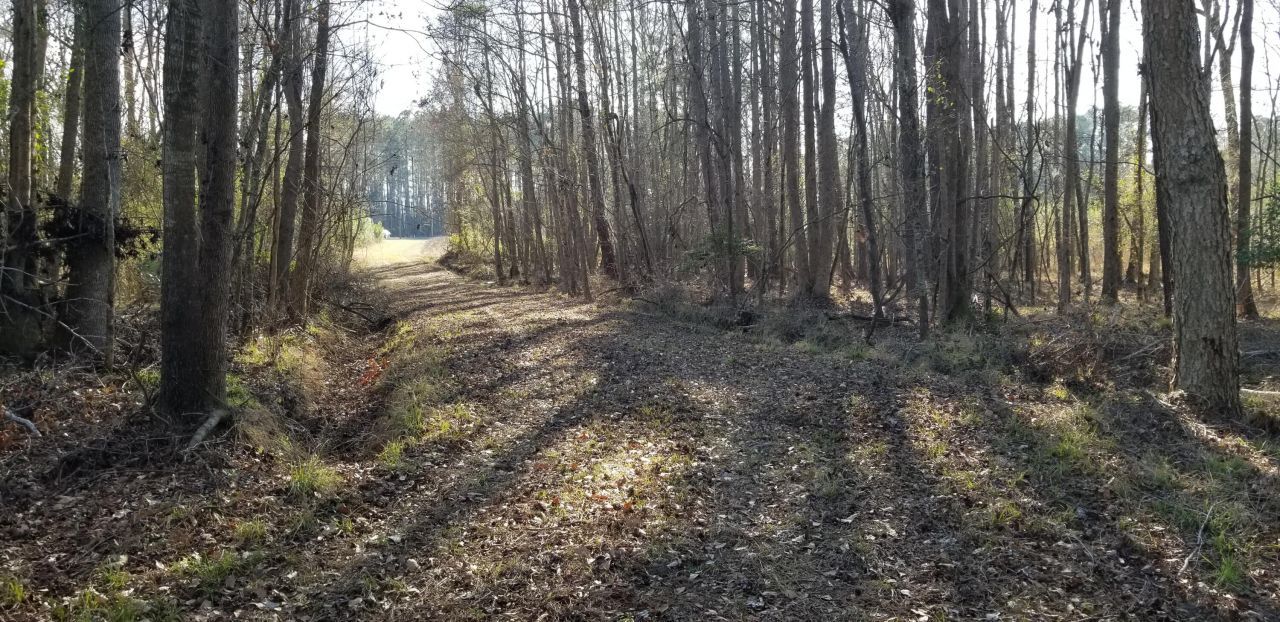 0 Wesley Grove Road Photo 7