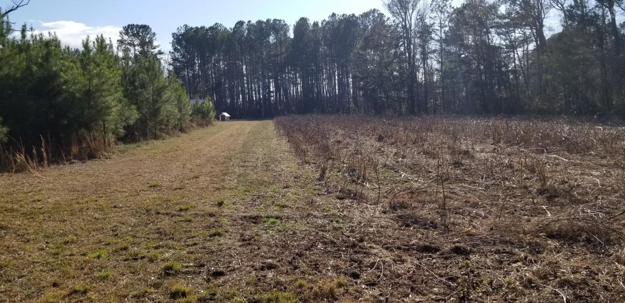 0 Wesley Grove Road Photo 8