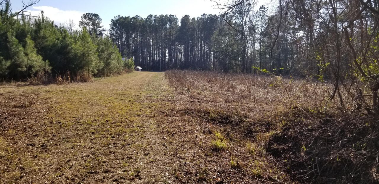 0 Wesley Grove Road Photo 9