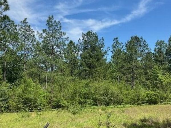 001 Hwy 13, Lumberton, MS 39455