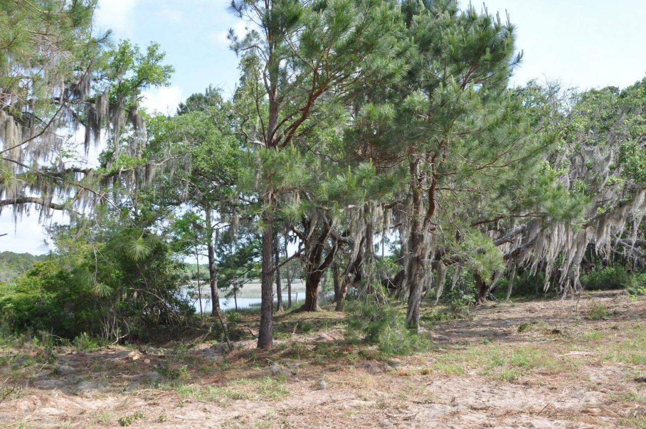 00 Ranch Road Photo 10