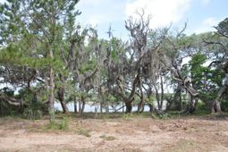 00 Ranch Road photo 4