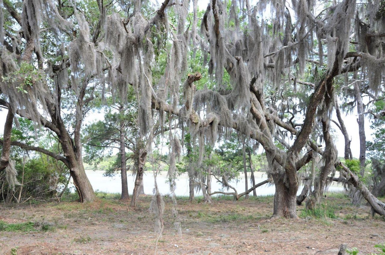 00 Ranch Road Photo 4