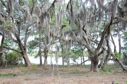 00 Ranch Road photo 4