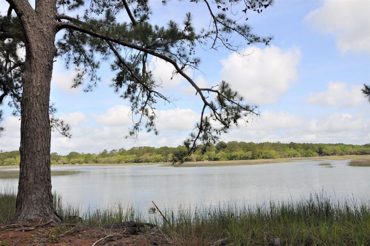 00 Ranch Road Photo 8