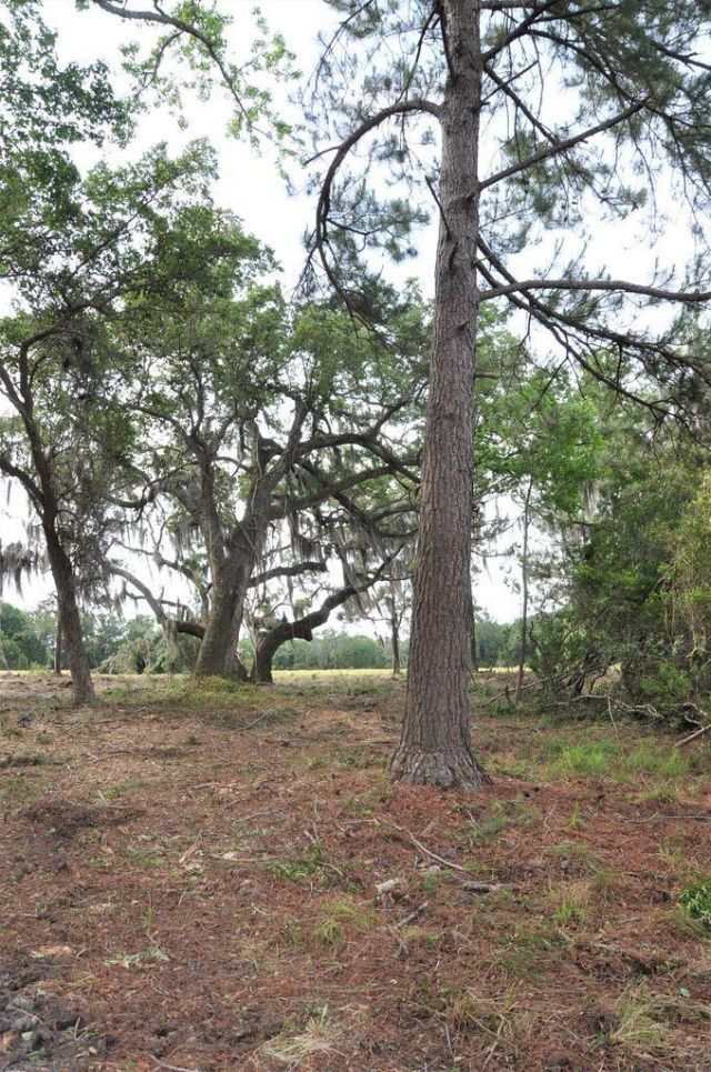 00 Ranch Road Photo 9