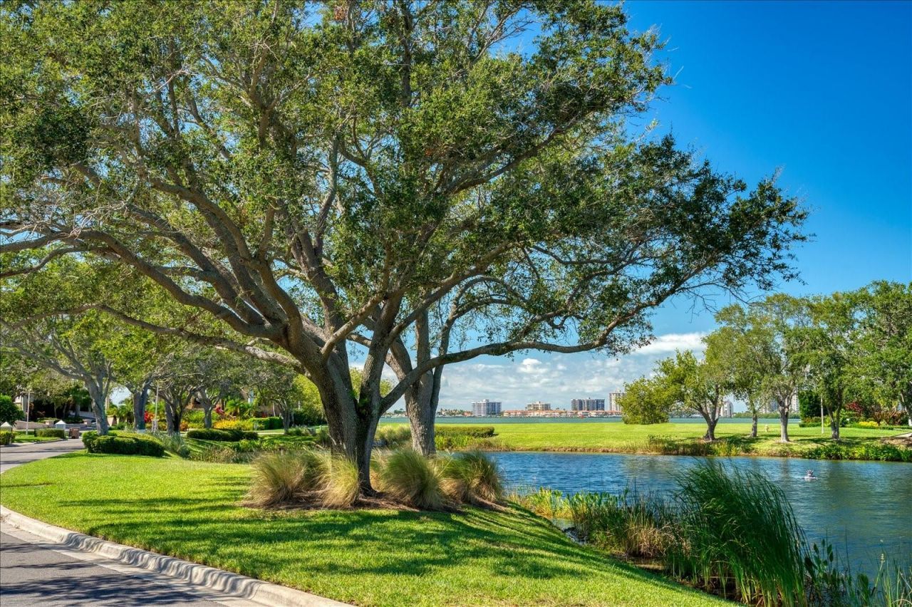 Saint Andrews Drive, Belleair, FL 33756 Photo