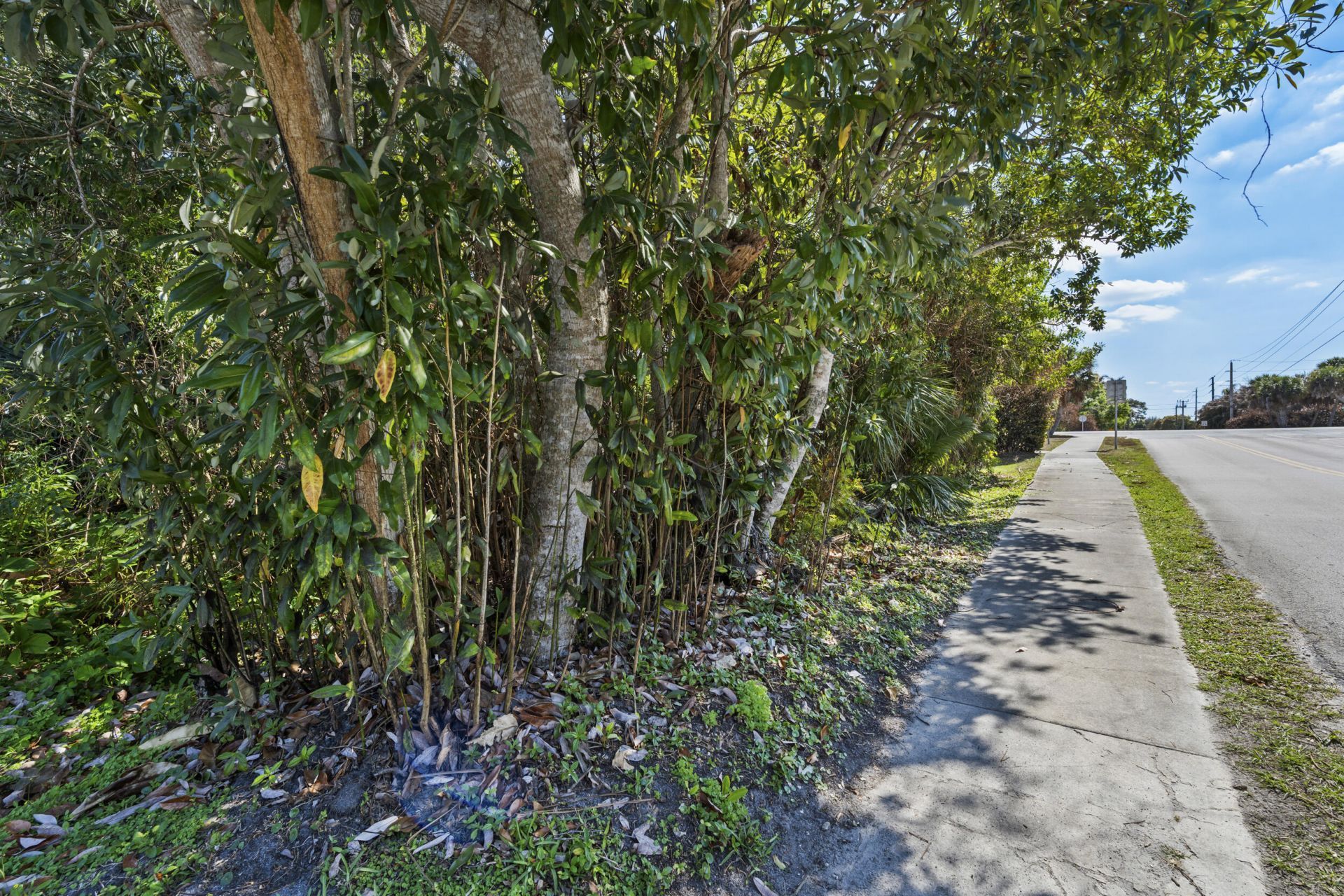 3529 SW Cornell Avenue, Palm City, FL 34990 Photo