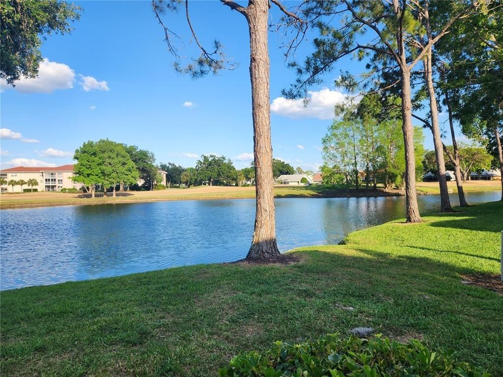 5515 Fair Oaks Street, Unit 5515, Bradenton, FL 34203 Photo