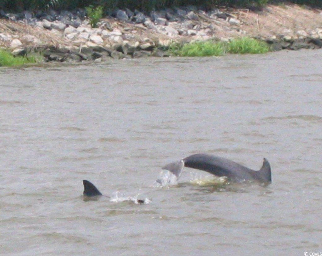 40 Pineberry Dr. Photo 19