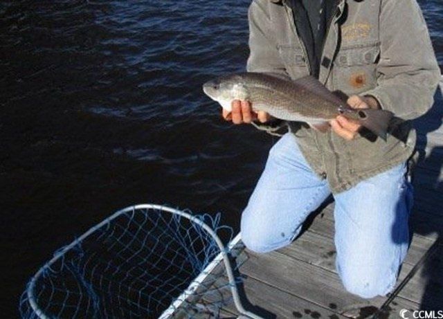 40 Pineberry Dr. Photo 20