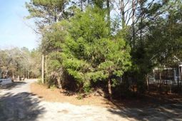 40 Pineberry Dr. photo 4